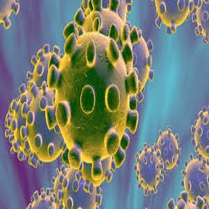 Fuerza mayor en tiempos del <strong>coronavirus</strong>